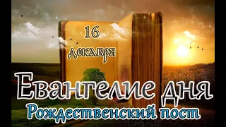 Евангелие и Святые дня. Апостольские чтения. Преподобного Са́ввы, игумена Сторожевского. (16.12.23)