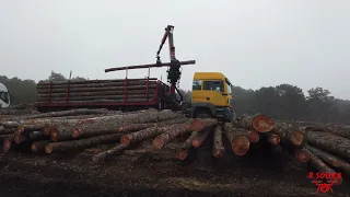 🌲🌲SIERRA CUENCA S.L🌲🌲ASERRADERO,  trabajos forestales,  transformación en maderas para palets