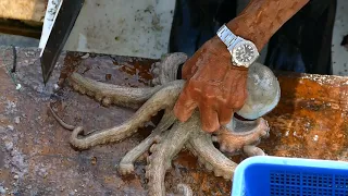 Cutting Live Octopus in Sai Kung seafood market, Hong Kong