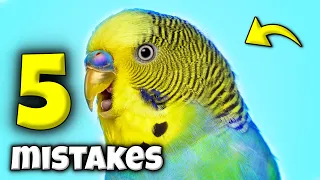 5 DEADLY Mistakes Bird Owners Make