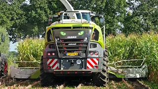 Mais Silage 2023 | Claas Jaguar 950 + Fendt | Schimmel