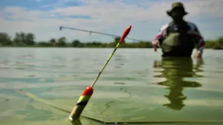 Рыбалка на МАТОЧНИКЕ 🐟🐟🐟 МЕЧТА КАЖДОГО РЫБОЛОВА!!!