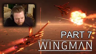 Fear the French | Project Wingman - Part 7