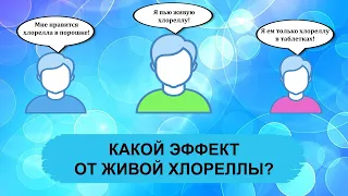 КАКОЙ ЭФФЕКТ ОТ ЖИВОЙ ХЛОРЕЛЛЫ?