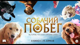 Трейлер фильма "Собачий побег"