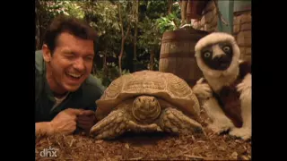 Zoboomafoo COMP 2 | Les dinosaures - Qui est dans le trou ?