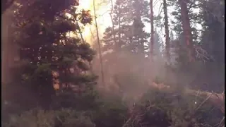 Researchers capture video inside raging forest fire