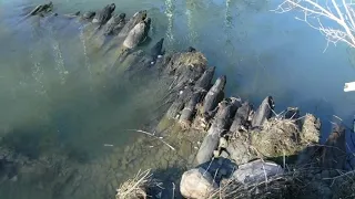 Conneaut creek reconnaissance