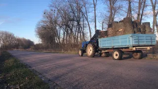 Набрав причеп халявних дров що ледве довіз! Їду по дрова після урагану, чи законно це?