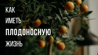 Как иметь плодоносную жизнь - Богдан Бондаренко