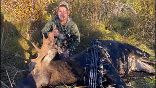 ARCHERY Saskatchewan moose hunt 2022