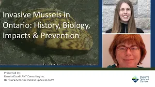 Invasive Mussels in Ontario: History, Biology, Impacts & Prevention