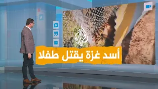 شبكات | أسد يفترس طفلا في قطاع غزة.. من يتحمل المسؤولية؟