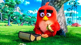 Angry Birds в кино (2016) Angry Birds. Русский трейлер.