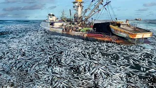 A Way For Fishermen To Catch Tuna Using Big Nets At Sea - Caught Hundred Tons Tuna Fish On the Boat