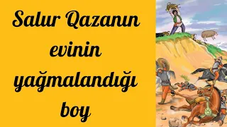 Salur Qazanın evinin yağmalandığı boy + təhlil