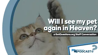 Do pets go to heaven? Do animals have souls? Will my pets be with me in heaven? - Podcast Episode 95