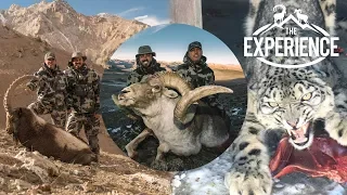 TAJIKISTAN: Snow Leopard, Ibex, Marco Polo 4k