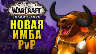 ЛУЧШИЕ СПЕКИ PvP ПРЕПАТЧ SHADOWLANDS, ТОП ДПС WORLD OF WARCRAFT 9.0.1