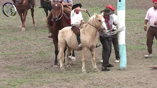 Monta Especial Dionisio Lalanda en Grupa de Petizo Estancia San Juán Abril 2023 en Feliciano (E. R.)