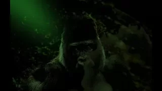 'The Snow Creature' film, yeti, bigfoot, full film, monster movie TWA