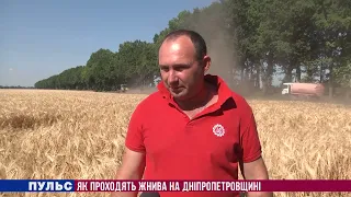 Як проходять жнива на Дніпропетровщині. Випуск від 07.07.2022