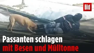 Hund verbeißt sich in Postboten