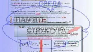 06 3 Основные положения общей теории управления