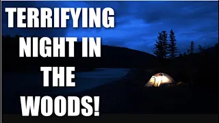 😱 creepy sounds in the forest | creepy wild camping | uk wild camping gone wrong | solo wild camp