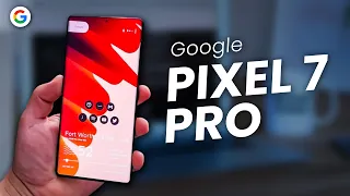 Google Pixel 7 Pro : Google's Best