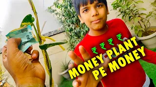 Money Plant pe Paise 😂