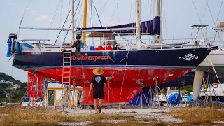 Zurück in die Karibik | Das Segelabenteuer geht weiter