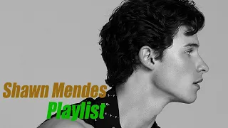 [Shawn Mendes zip] 요즘 날씨에 듣기 좋은 ❤숀멘데스 띵곡모음 ❤ | Shawn Mendes playlist | 팝송추천,플레이리스트,이비뮤직