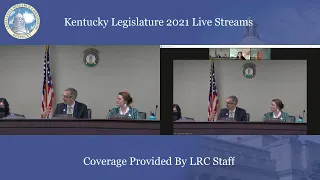 Commission on Race and Access to Opportunity (11-23-21)