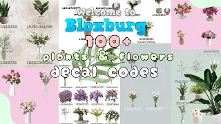 100+ Bloxburg plant 🌱 and flowers 💐 decal codes