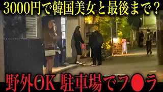 1万円で立ちんぼのパパ活女子と何人遊べるのか？新大久保（新宿百人町）編