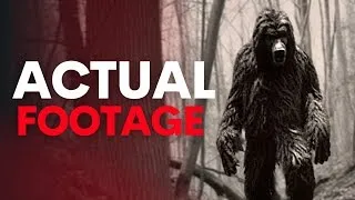 INSANE Trail Cam Footage The World MUST See!