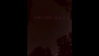 CIUNE X LTZOO - TIK NE JA