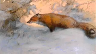 Janáček: The Cunning Little Vixen - Orchestral Suite from the Opera