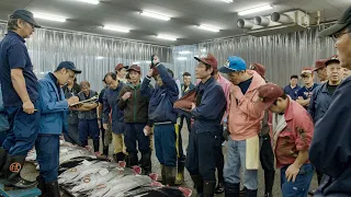 Tuna Fish Auction in Kyoto Market, Japan