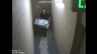 Surveillance Video: The Ritz-Carlton Burglaries