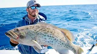 Gag Groupers, Red Snappers and Triggers in the Gulf