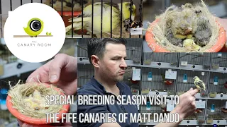 Breeding Season Visit to Matt Dando - Canary Room special visit