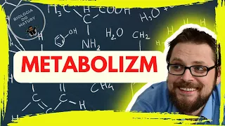 Podstawowe zasady metabolizmu | Szlak, cykl metaboliczny | ATP | Anabolizm, katabolizm | Redox NAD |