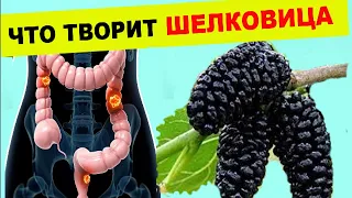 Что творит ШЕЛКОВИЦА  ! Даже одна ЛОЖКА может вызвать процесс исцеления в организме !