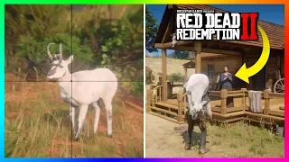 What Happens If John Marston Brings A Legendary Animal To Beecher's Hope In Red Dead Redemption 2?