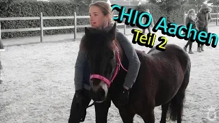 [FMA] Shootingstar Smarty 😍📸 | Bloggertreffen 2019 | Marina und die Ponys