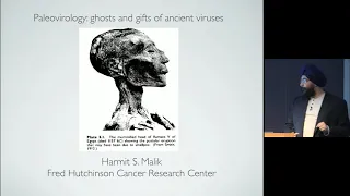 Paleovirology: Ghosts and Gifts of Ancient Viruses