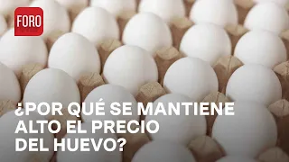 Precio del huevo en México hoy, ¿Por qué se mantiene alto el precio del huevo? - Las Noticias"