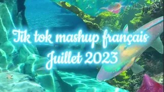 Tik tok mashup français/afro 🥳